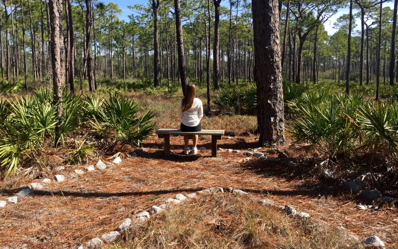 nature without social media