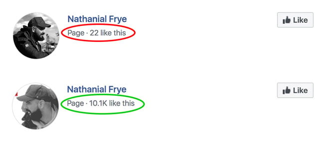 page-likes-before-and-after-vervebook-(1)