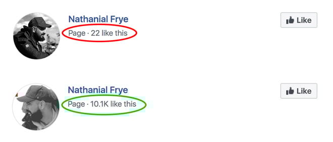 page-likes-before-and-after-vervebook-(1)