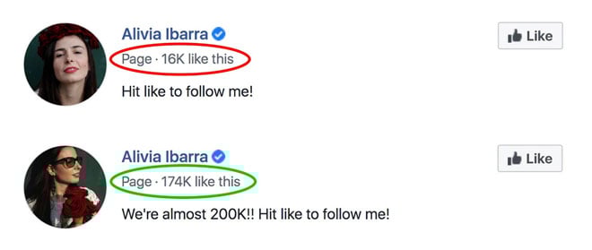 page-likes-before-and-after-vervebook-(11)