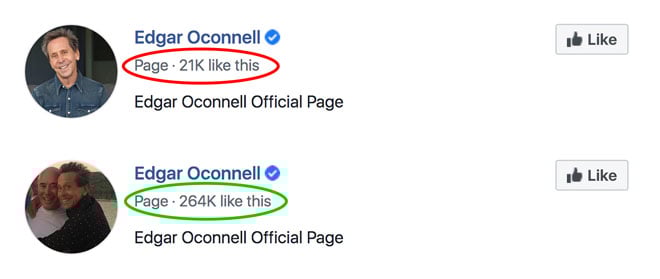 page-likes-before-and-after-vervebook-(9)